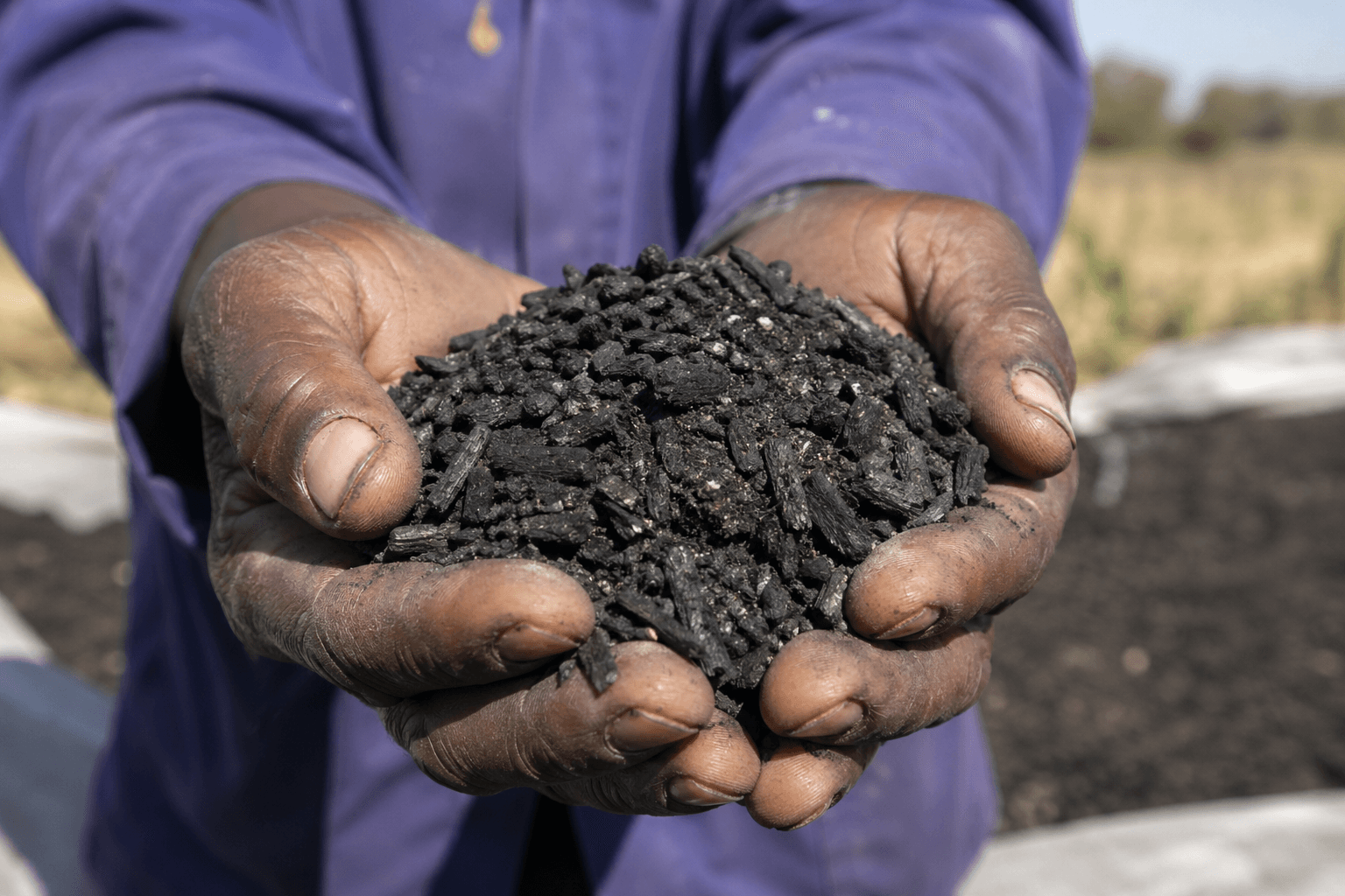 Hands holding biochar