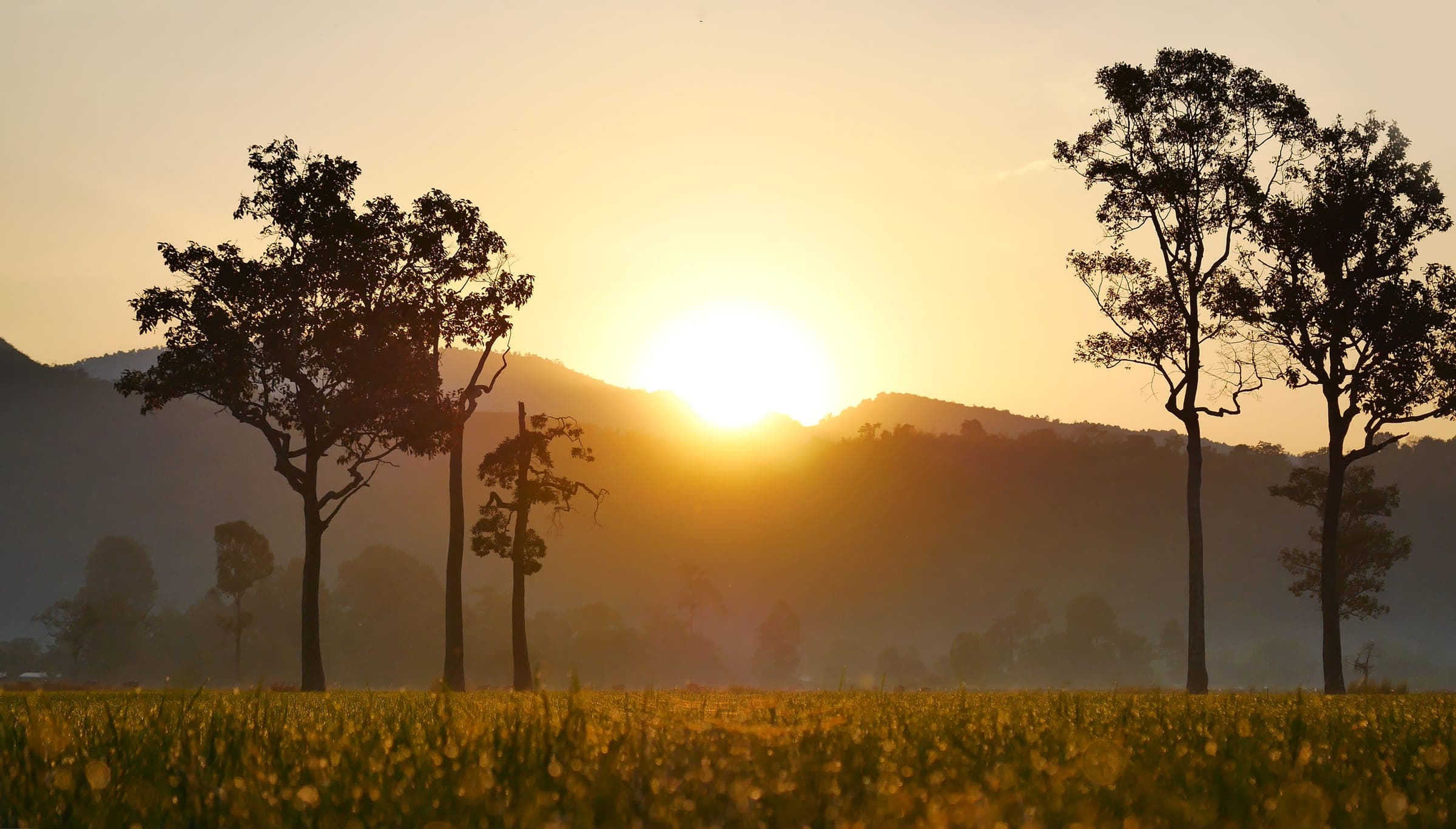 African landscape at sunrise